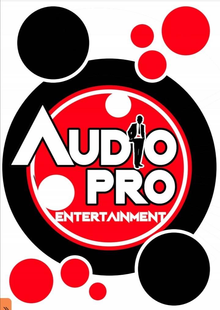 Audio Pro Entertainment